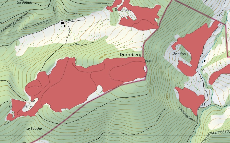 Landeskarte swisstopo mit dem Schutzperimeter von Les Pouches (Trockenwiese)