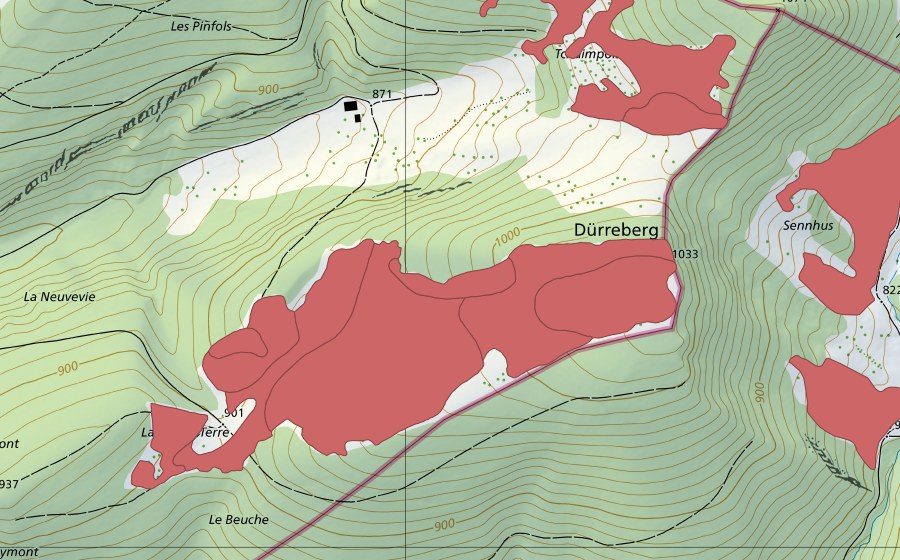 Landeskarte swisstopo mit dem Schutzperimeter von Les Pouches (Trockenwiese)