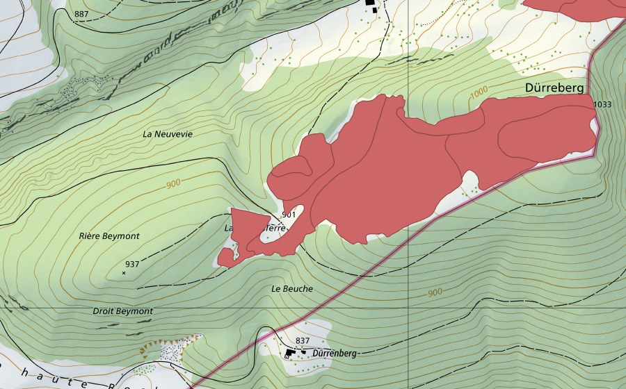Landeskarte swisstopo mit dem Schutzperimeter von Les Pouches (Trockenwiese)