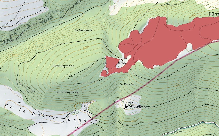 Landeskarte swisstopo mit dem Schutzperimeter von Les Pouches (Trockenwiese)