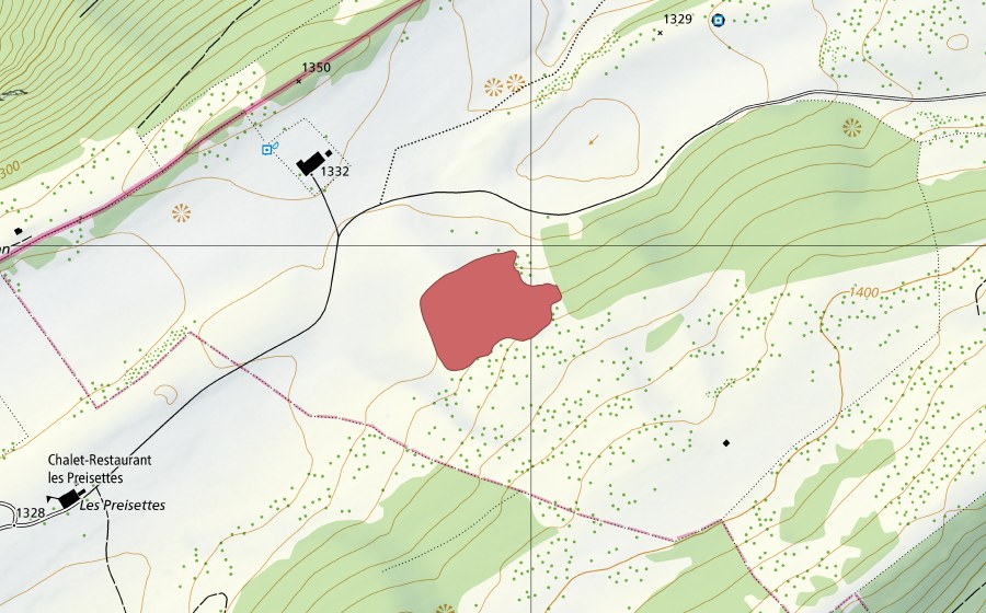 Landeskarte swisstopo mit dem Schutzperimeter von Les Preisettes (Trockenwiese)