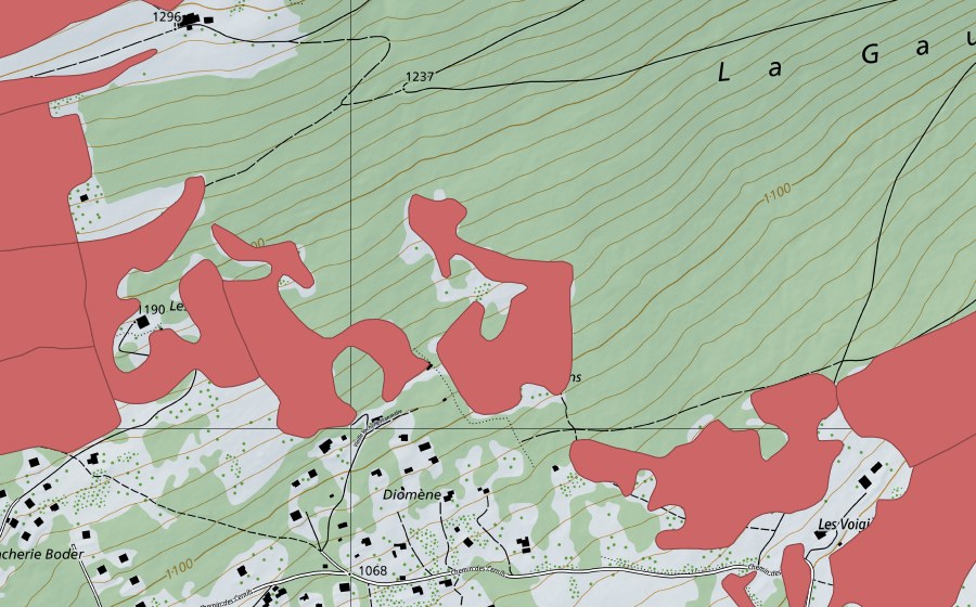 Landeskarte swisstopo mit dem Schutzperimeter von Les Prés d'Orvin (Trockenwiese)