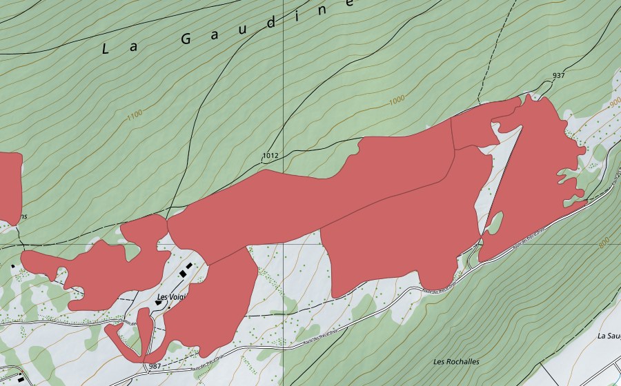 swisstopo national map showing the protected perimeter of Les Prés d'Orvin (Dry meadow)