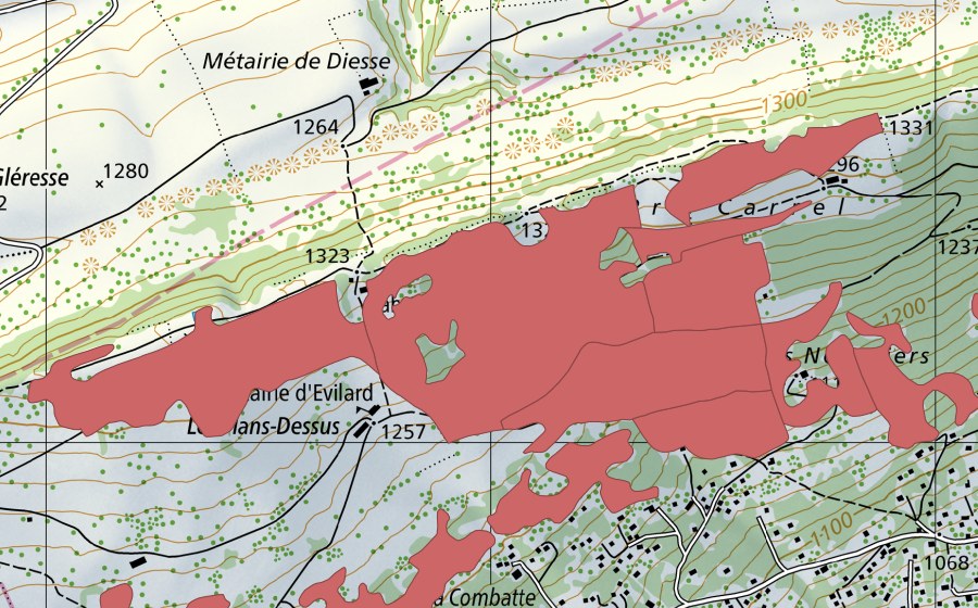Landeskarte swisstopo mit dem Schutzperimeter von Les Prés d'Orvin (Trockenwiese)
