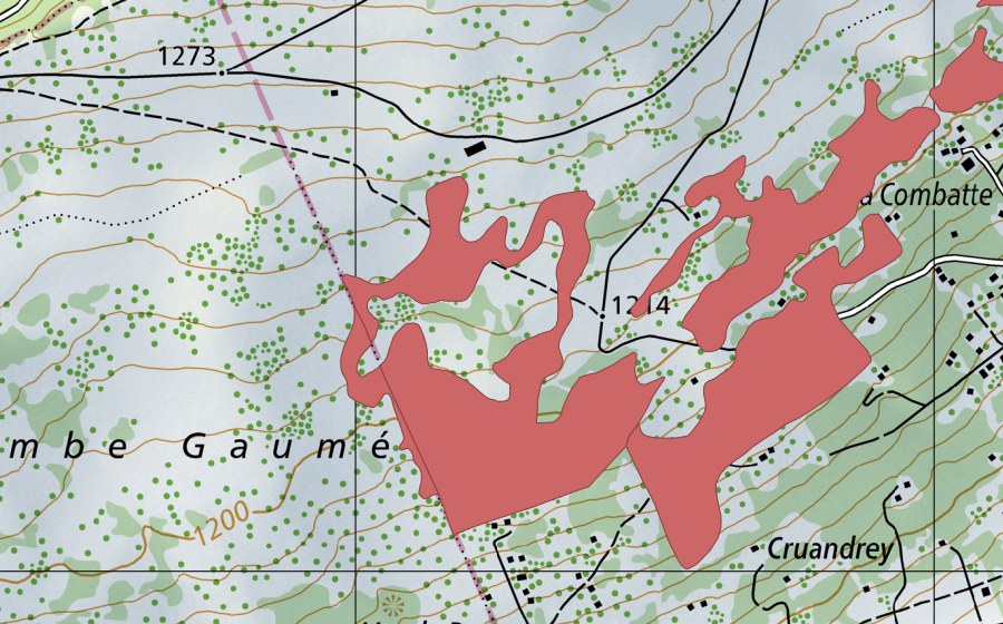 Carte nationale swisstopo avec le périmètre protégé de Les Prés d'Orvin (Prairie sèche)