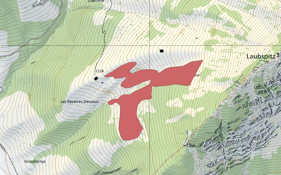Carte nationale swisstopo avec le périmètre protégé de Les Raveires (Prairie sèche)