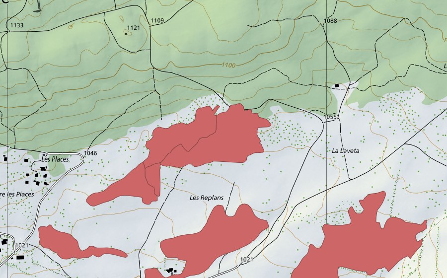 Carte nationale swisstopo avec le périmètre protégé de Les Replans (Prairie sèche)