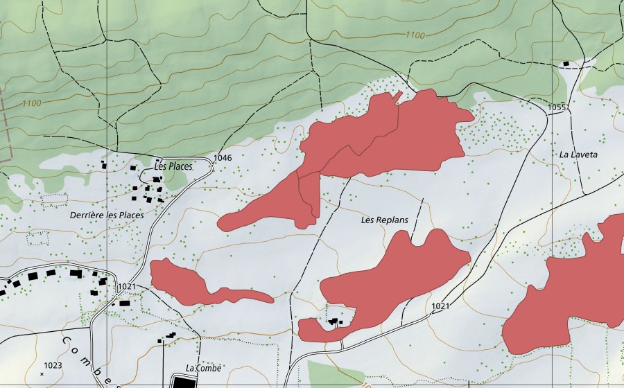 Landeskarte swisstopo mit dem Schutzperimeter von Les Replans (Trockenwiese)