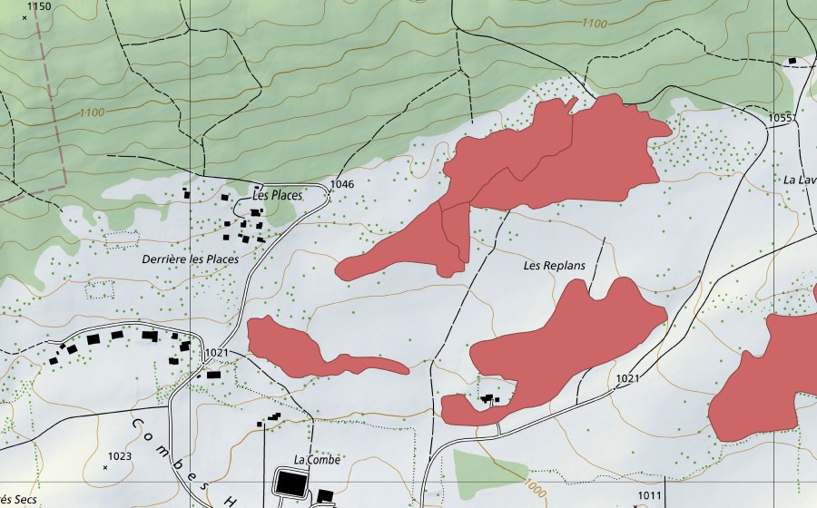 swisstopo national map showing the protected perimeter of Les Replans (Dry meadow)