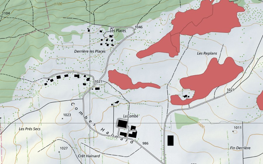 swisstopo national map showing the protected perimeter of Les Replans (Dry meadow)