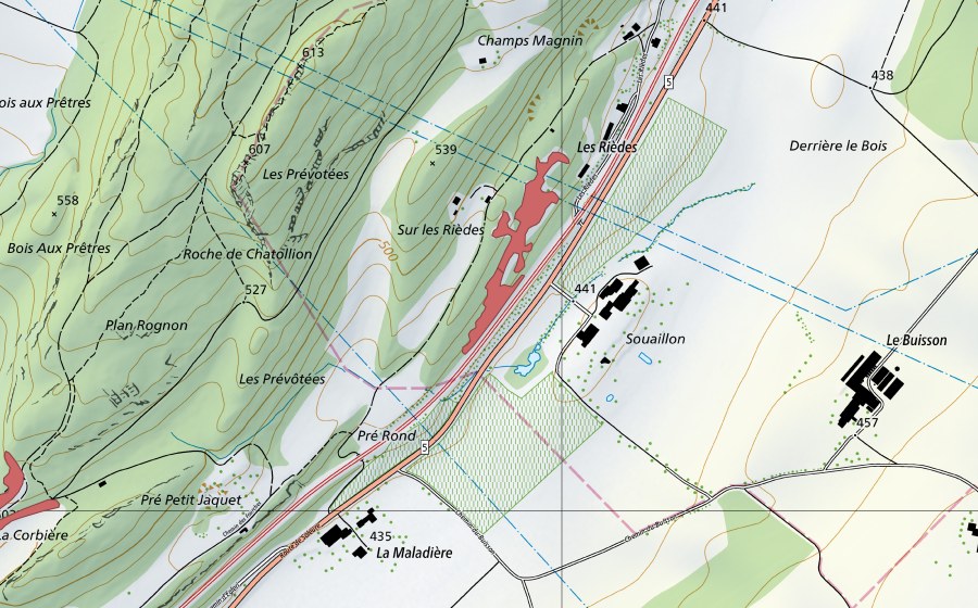 Carte nationale swisstopo avec le périmètre protégé de Les Rièdes (Prairie sèche)