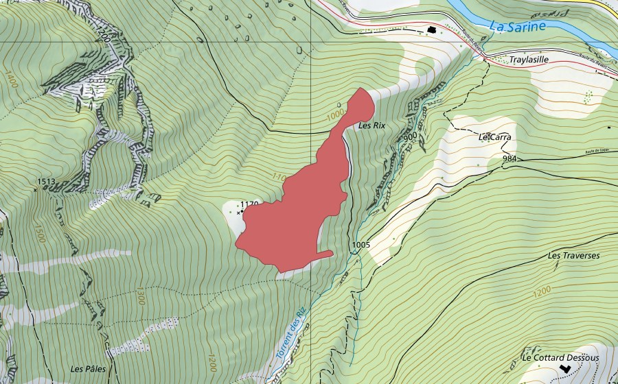 Carte nationale swisstopo avec le périmètre protégé de Les Riz (Prairie sèche)