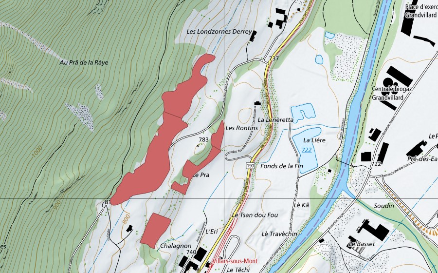 Landeskarte swisstopo mit dem Schutzperimeter von Les Rontins (Trockenwiese)