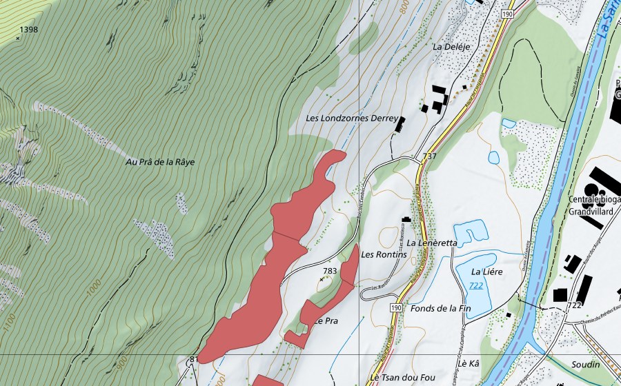 swisstopo national map showing the protected perimeter of Les Rontins (Dry meadow)