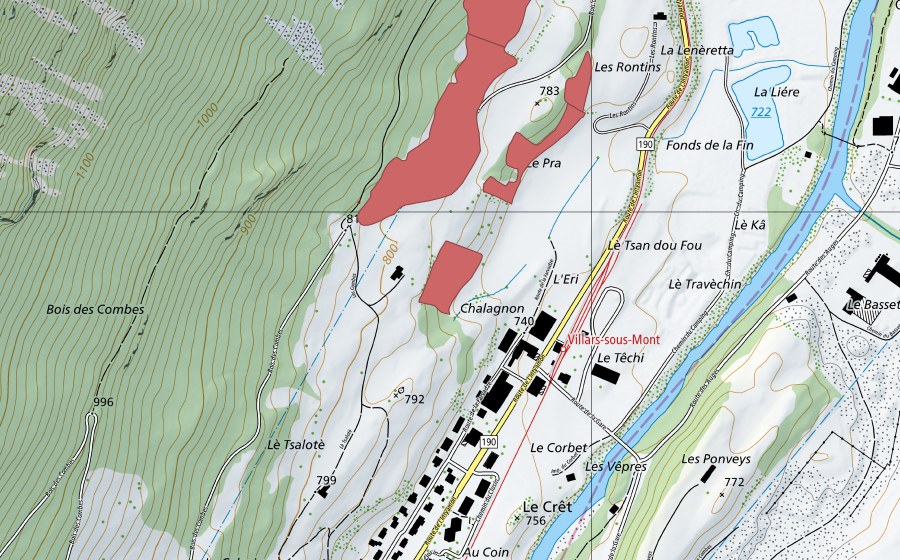 swisstopo national map showing the protected perimeter of Les Rontins (Dry meadow)
