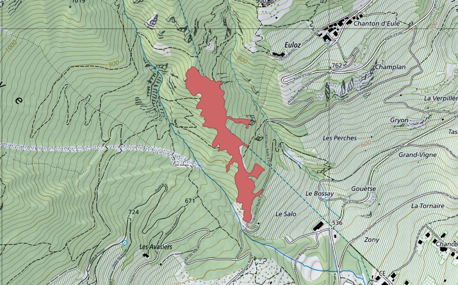 Landeskarte swisstopo mit dem Schutzperimeter von Les Salaux (Trockenwiese)