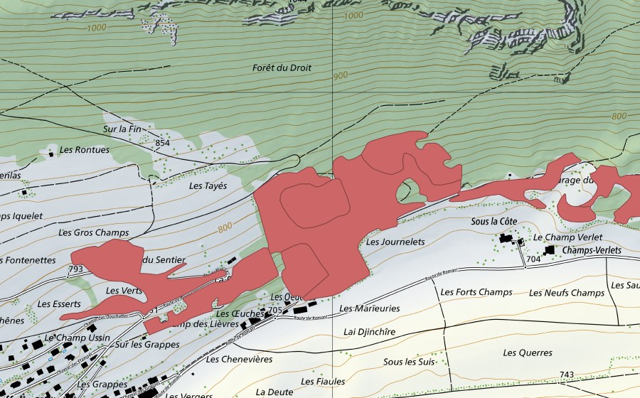 swisstopo national map showing the protected perimeter of Les Tayes (Dry meadow)