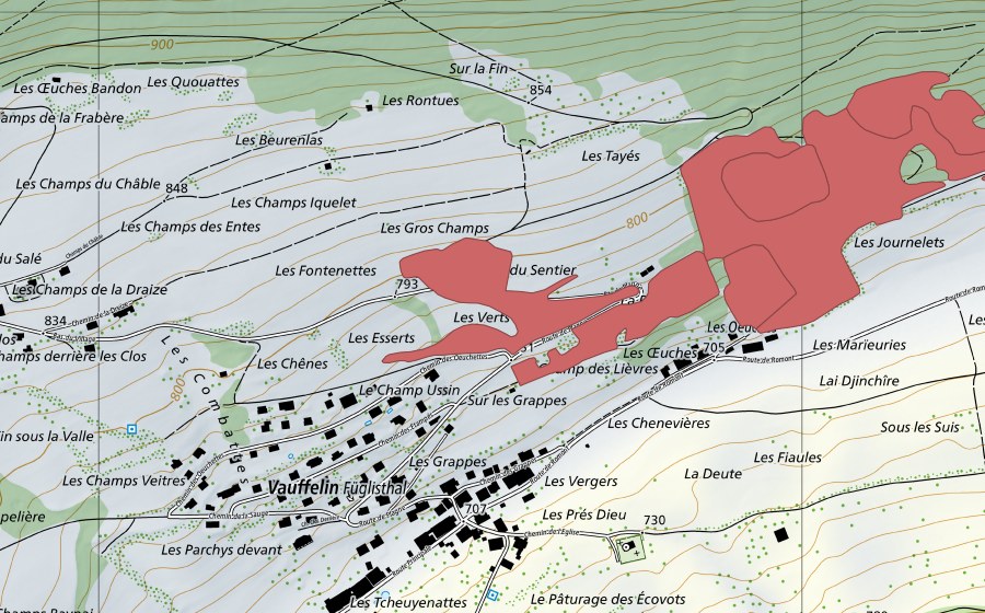 Landeskarte swisstopo mit dem Schutzperimeter von Les Tayes (Trockenwiese)