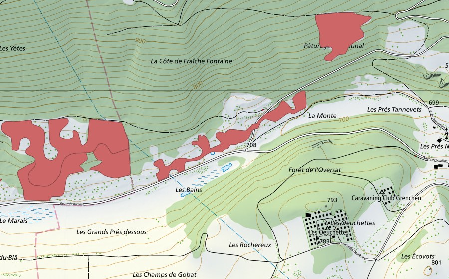 Landeskarte swisstopo mit dem Schutzperimeter von Les Tayes (Trockenwiese)