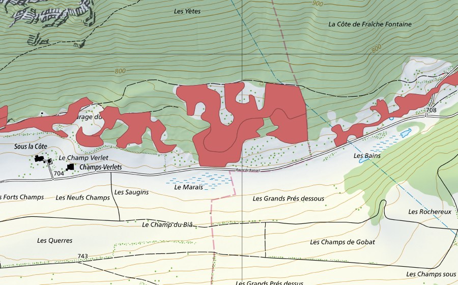 Landeskarte swisstopo mit dem Schutzperimeter von Les Tayes (Trockenwiese)