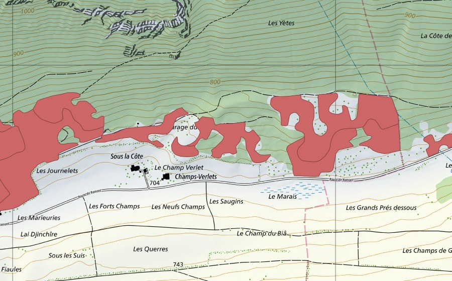 swisstopo national map showing the protected perimeter of Les Tayes (Dry meadow)