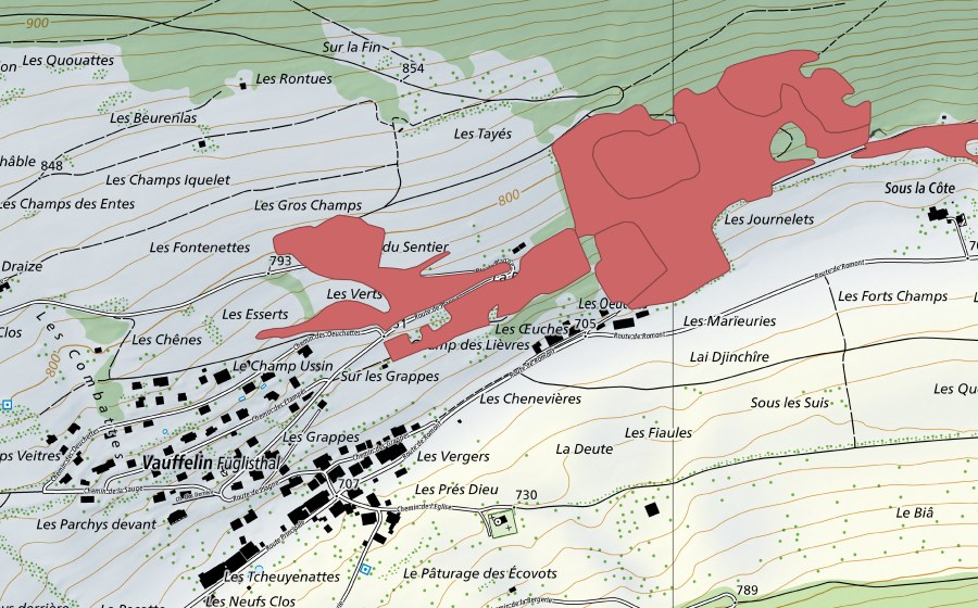 Landeskarte swisstopo mit dem Schutzperimeter von Les Tayes (Trockenwiese)