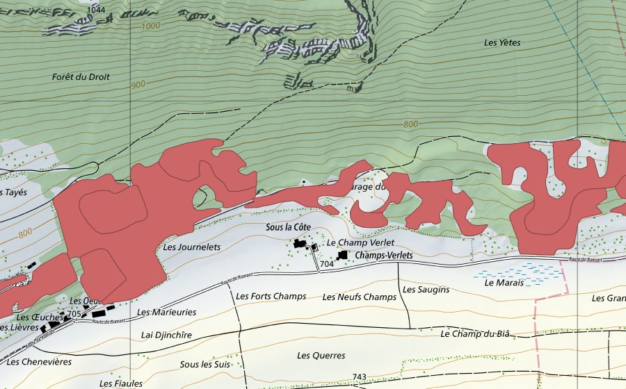 Landeskarte swisstopo mit dem Schutzperimeter von Les Tayes (Trockenwiese)
