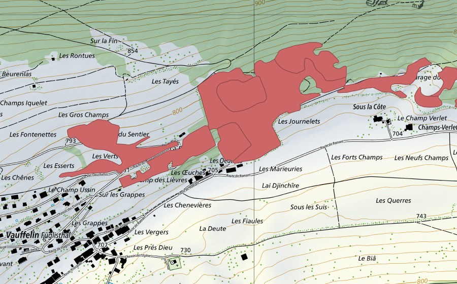 swisstopo national map showing the protected perimeter of Les Tayes (Dry meadow)