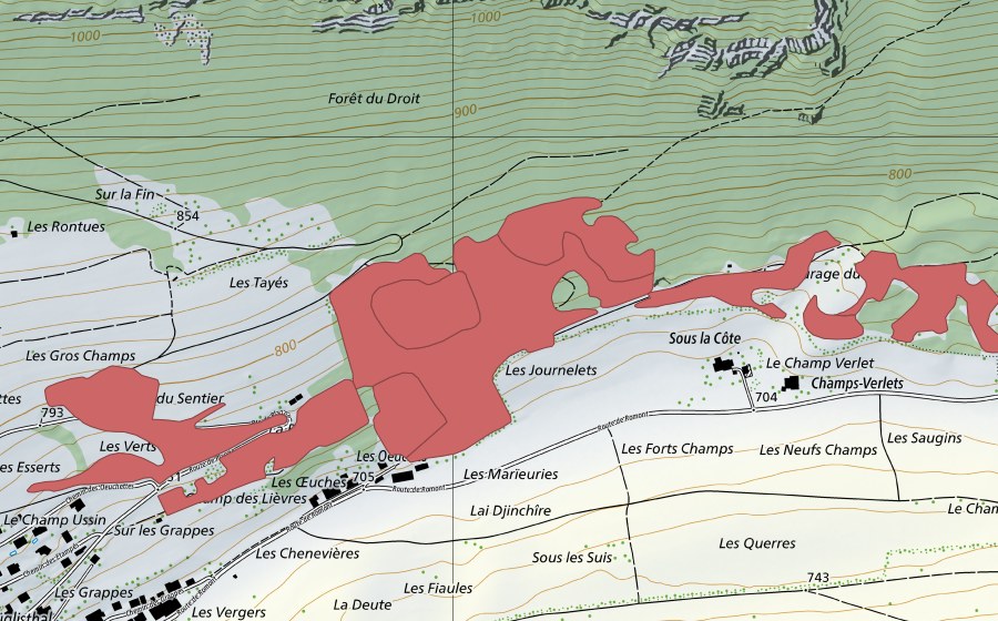 Carte nationale swisstopo avec le périmètre protégé de Les Tayes (Prairie sèche)