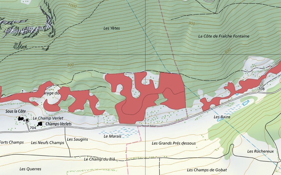 swisstopo national map showing the protected perimeter of Les Tayes (Dry meadow)