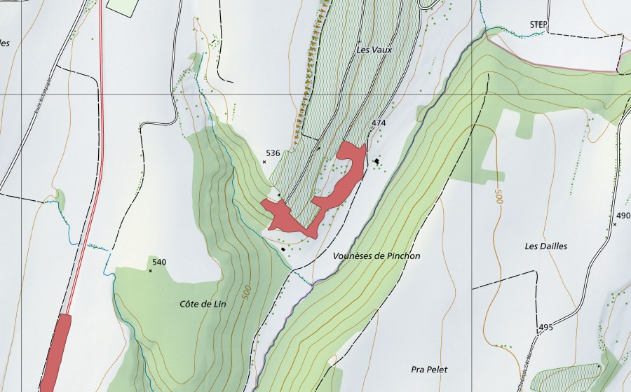 Landeskarte swisstopo mit dem Schutzperimeter von Les Vaux (Trockenwiese)