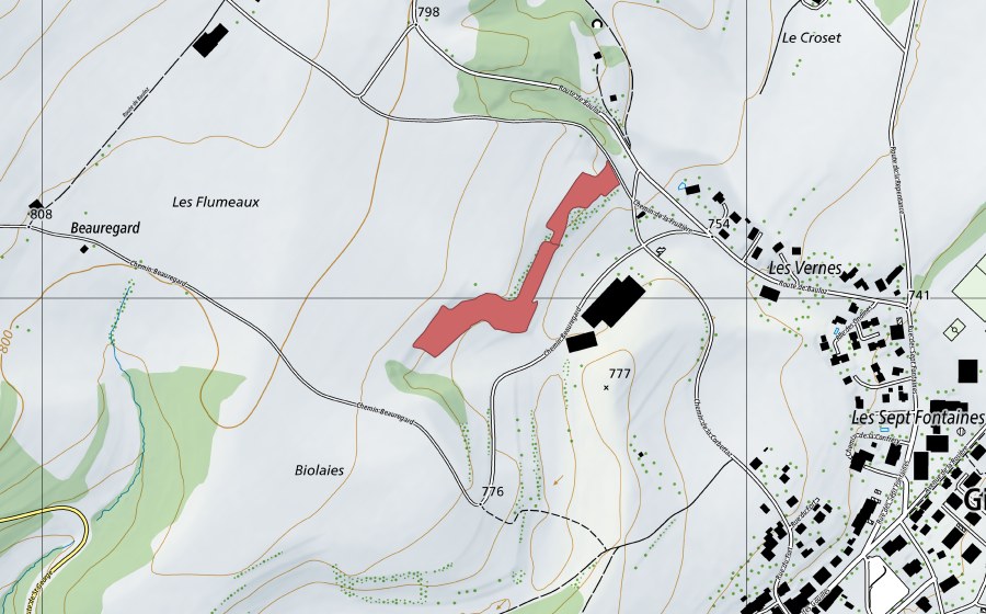 Carte nationale swisstopo avec le périmètre protégé de Les Vernes (Prairie sèche)