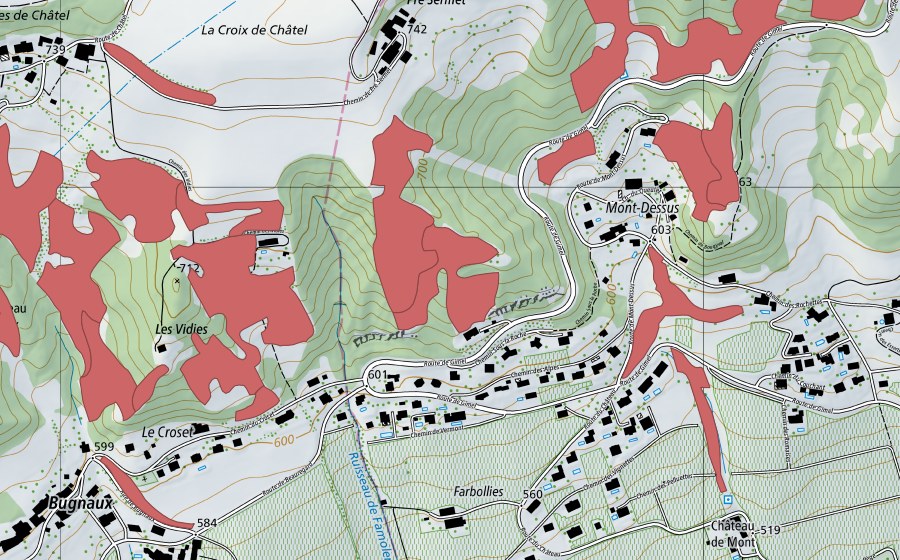 Landeskarte swisstopo mit dem Schutzperimeter von Les Vidies (Trockenwiese)