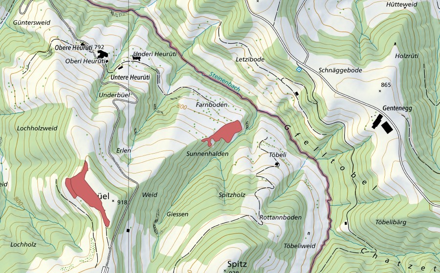swisstopo national map showing the protected perimeter of Letzibode (Dry meadow)