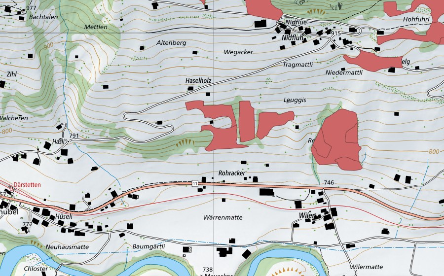 swisstopo national map showing the protected perimeter of Leuggis (Dry meadow)