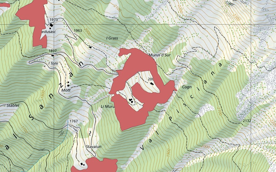 Landeskarte swisstopo mit dem Schutzperimeter von Li Murus (Trockenwiese)