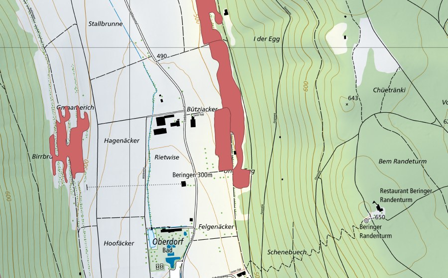 Landeskarte swisstopo mit dem Schutzperimeter von Lieblosental (Trockenwiese)