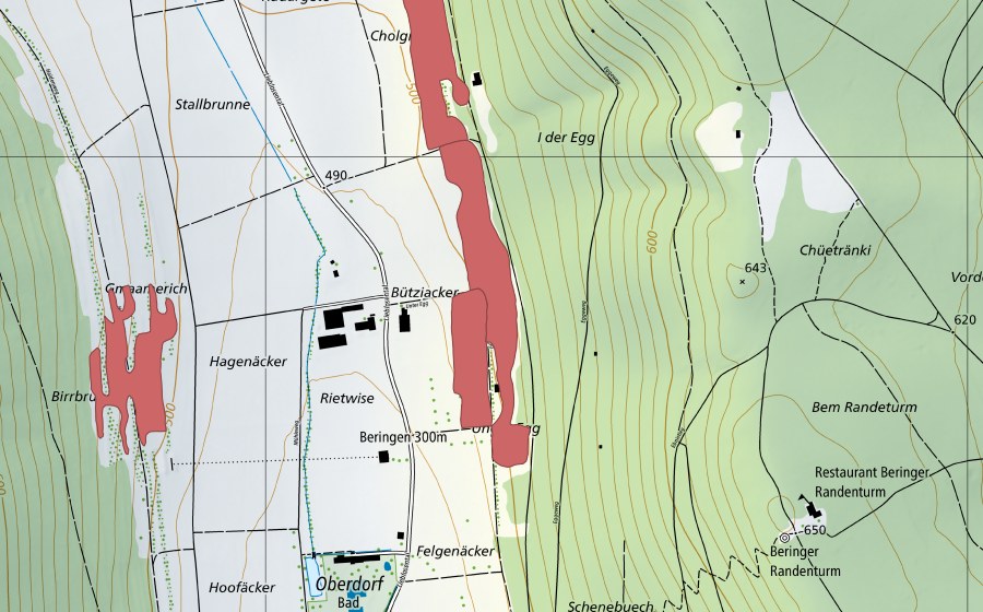 swisstopo national map showing the protected perimeter of Lieblosental (Dry meadow)