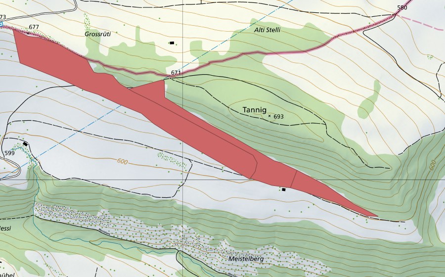 swisstopo national map showing the protected perimeter of Liesbergweid (Dry meadow)