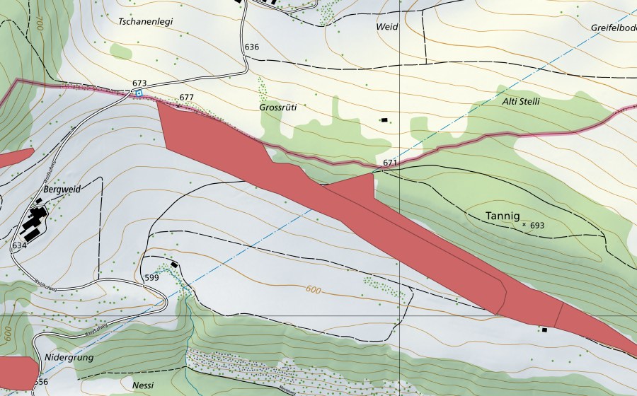swisstopo national map showing the protected perimeter of Liesbergweid (Dry meadow)