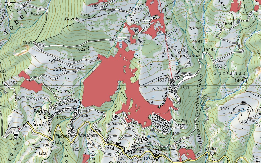 swisstopo national map showing the protected perimeter of Liggboden (Dry meadow)