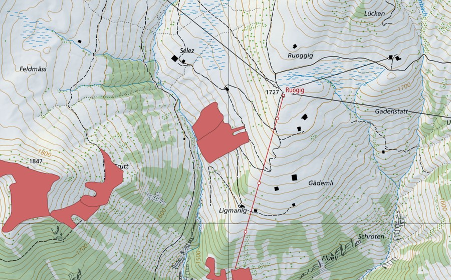 swisstopo national map showing the protected perimeter of Ligmanig (Dry meadow)