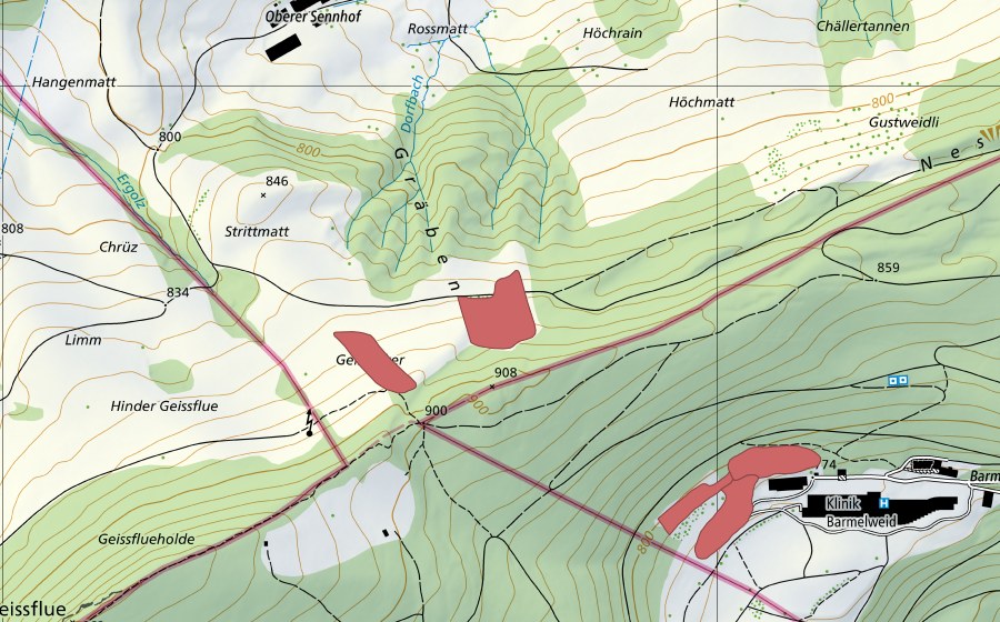 Landeskarte swisstopo mit dem Schutzperimeter von Limm (Trockenwiese)