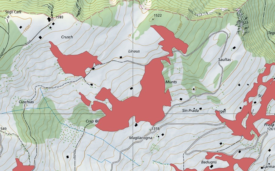 swisstopo national map showing the protected perimeter of Linaus (Dry meadow)