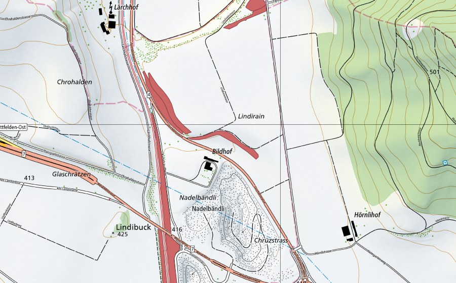 swisstopo national map showing the protected perimeter of Lindirain (Dry meadow)