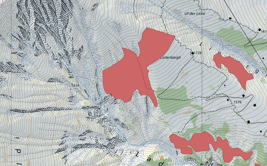 swisstopo national map showing the protected perimeter of Linterbärgli (Dry meadow)
