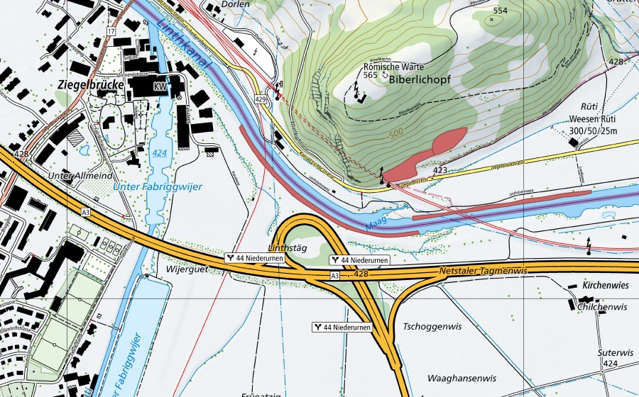 Carta nazionale swisstopo con il perimetro protetto di Linthkanal (Prato secco)