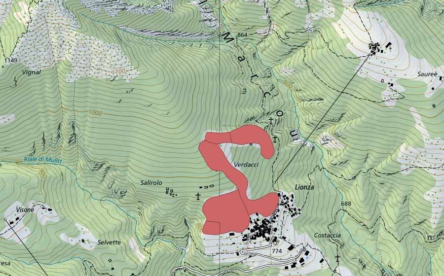 swisstopo national map showing the protected perimeter of Lionza (Dry meadow)