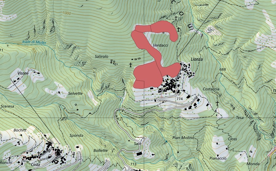 Landeskarte swisstopo mit dem Schutzperimeter von Lionza (Trockenwiese)