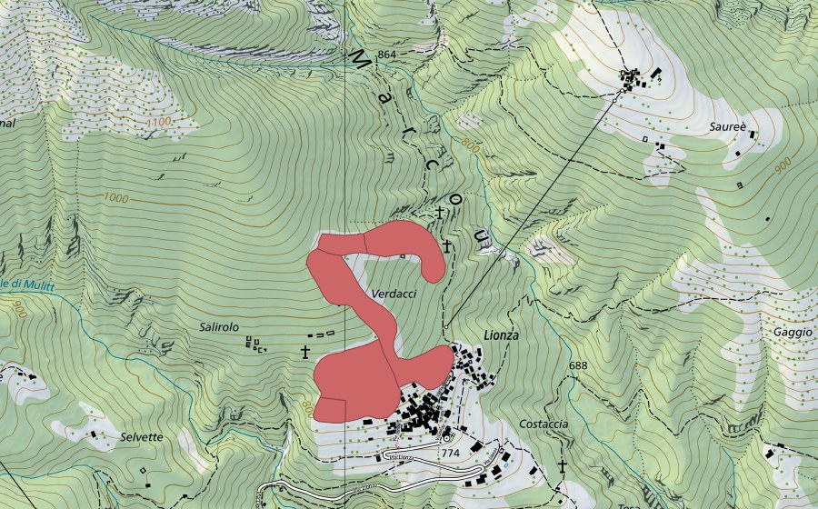swisstopo national map showing the protected perimeter of Lionza (Dry meadow)